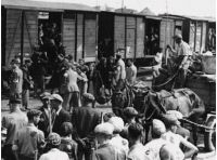 Украинцев принудительно выселяли из восточной Польши, фото uahistory.info