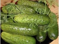 Малосольные огурцы, фото из открытых источников