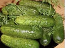 Малосольные огурцы, фото из открытых источников
