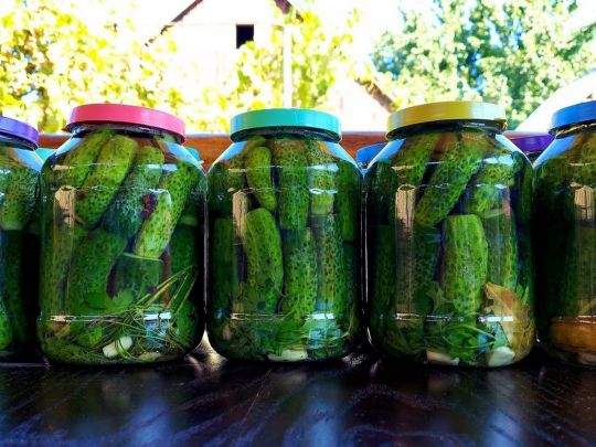 Маринованные огурцы