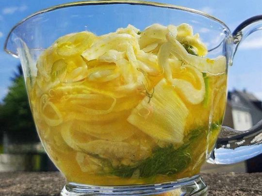 Маринованный фенхель