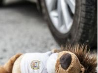 Брат випадково наїхав на свою дворічну сестру, з відкритих джерел