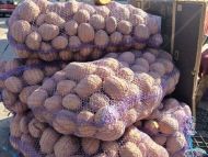С&nbsp;закупкой не&nbsp;медлите: каких цен на&nbsp;картофель ждать осенью
