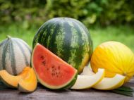 Вкусно, но&nbsp;опасно: с&nbsp;чем нельзя есть арбуз и&nbsp;дыню