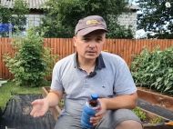 Аграрий с&nbsp;Киевщины посоветовал, чем подкормить клубнику в&nbsp;августе и&nbsp;сентябре