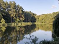 Голосіївський парк, фото соцмережі