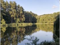 Голосеевский парк, фото соцсети