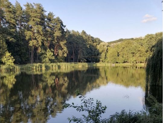 Голосеевский парк, фото соцсети
