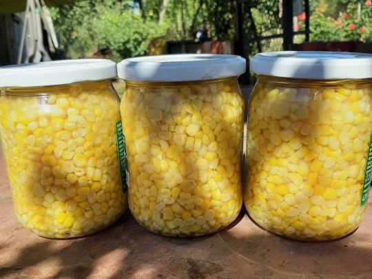 консервированная кукуруза