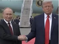 Игаль Левин - о том, почему путин не поддержал предложение о прекращении огня. Фото - скриншот