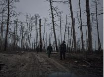 Бои за Серебрянское лесничество идут не один год, фото из открытых источников