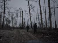 Серебрянський ліс