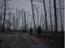 Серебрянский лес