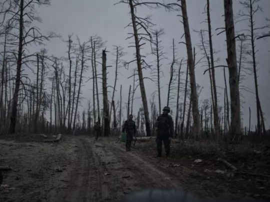 Серебрянский лес