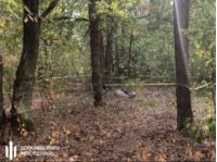 Тіло знайшли недалеко від українсько-польського кордону, фото скріншот відео