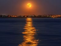 Гороскоп на 8 сентября. Фото - Pixabay