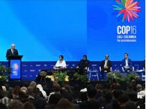 COP 17
