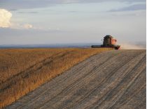 Уборка урожая на поле 