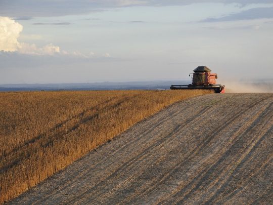 Уборка урожая на поле 