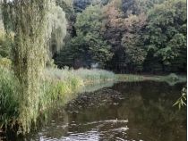 Голосеевский парк, фото соцсети