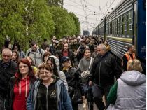украинские беженцы