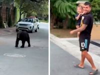 Анхель Корреа з дочкою та ведмідь