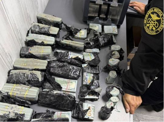 Митники запобігли спробі незаконного вивезення майже 1 млн доларів з України, фото ДМС