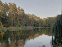 Голосіївський парк, фото соцмережі
