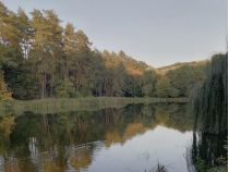 Голосіївський парк, фото соцмережі