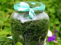 Укроп на зиму. Фото с сайта https://agro-market.net/