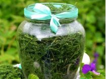 Кріп на зиму. Фото із сайту https://agro-market.net/
