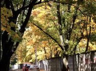 В&nbsp;Україну йде тепло: синоптики порадували прогнозом