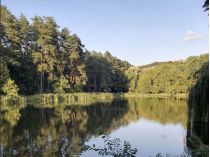 Голосеевский парк, фото соцсети