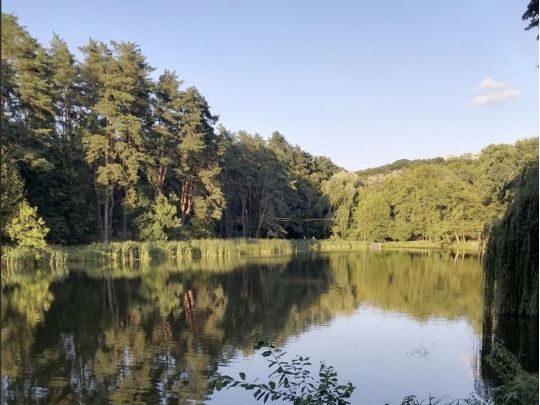 Голосіївський парк, фото соцмережі