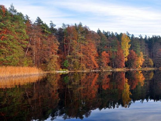 Прогноз погоды на выходные дни, 1 и 2 ноября. Фото Pixabay