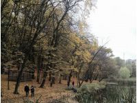 Голосіївський парк, фото соцмережі