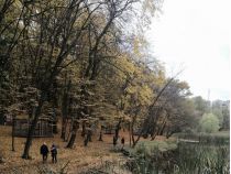 Голосіївський парк, фото соцмережі