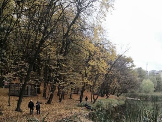 Голосіївський парк, фото соцмережі
