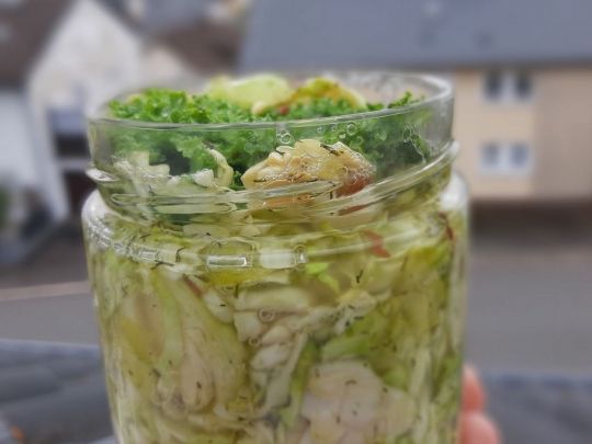 ферментированная брюссельская капуста
