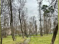 Сильный ветер и&nbsp;значительное похолодание: синоптики огорчили прогнозом на&nbsp;18&nbsp;ноября