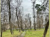 Завтра в Україні буде переважно холодно, фото https://www.facebook.com/tala.didenko/