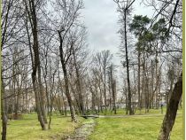Завтра в Україні буде переважно холодно, фото https://www.facebook.com/tala.didenko/
