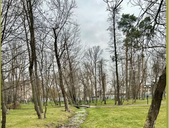 Завтра в Україні буде переважно холодно, фото https://www.facebook.com/tala.didenko/