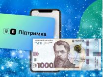 Зимова допомога