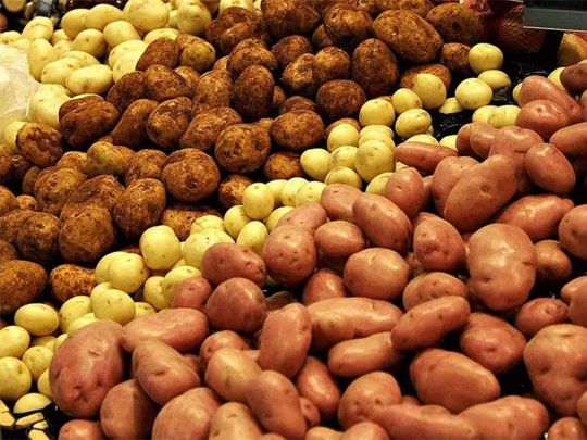 Картопля на продаж