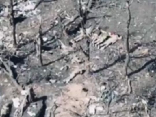 Росіяни стратили п'ятьох українських полонених&nbsp;— Фото: скріншот відео
