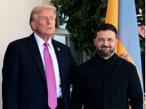 Трамп та Зеленський