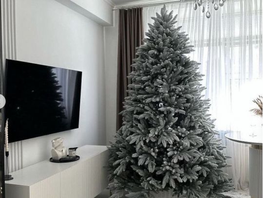 Украшать елку нужно в хорошем настроении, фото https://www.instagram.com/p/DQrDxsfjPMT/?img_index=2&amp;igsh=MThsMTRhdW5samhjdA