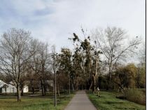 ВДНГ, фото соцмережі