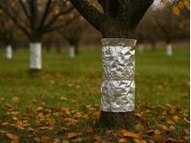 Фото з відкритих джерел
